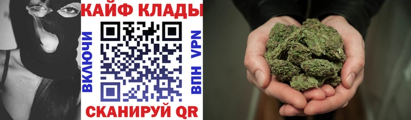 ГАШ Воронеж