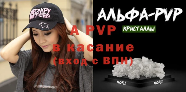 ГАЛЛЮЦИНОГЕННЫЕ ГРИБЫ Бородино