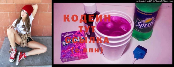 ГАЛЛЮЦИНОГЕННЫЕ ГРИБЫ Бородино