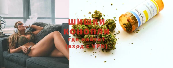 ГАЛЛЮЦИНОГЕННЫЕ ГРИБЫ Бородино