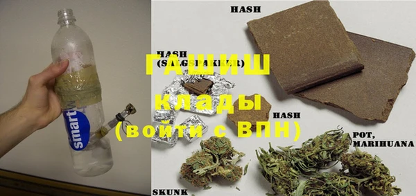 ГАЛЛЮЦИНОГЕННЫЕ ГРИБЫ Бородино