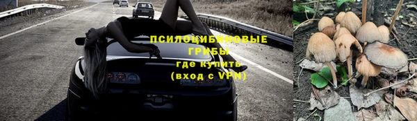 ГАЛЛЮЦИНОГЕННЫЕ ГРИБЫ Бородино