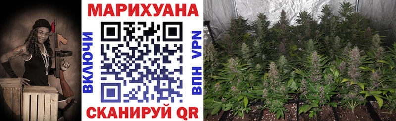 купить закладку  Воронеж  Шишки марихуана конопля 